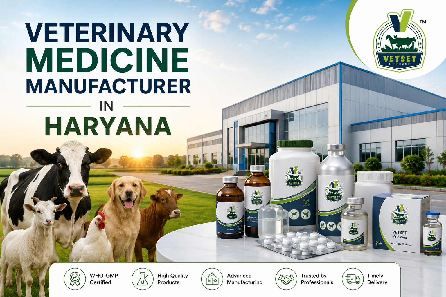 How to Choose the Best Veterinary Medicine Supplier in Haryana