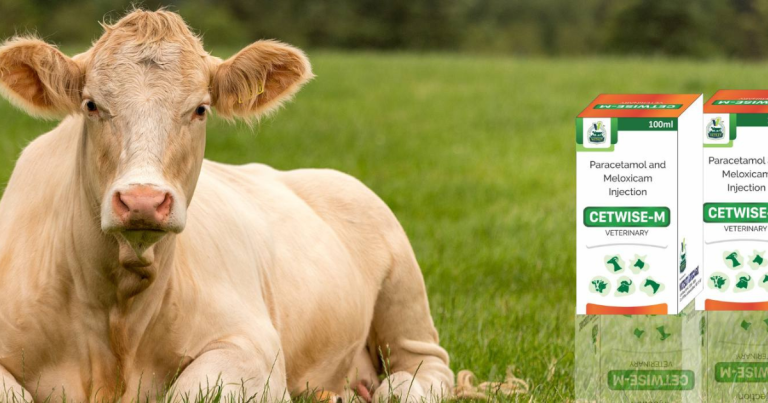 PCD veterinary third party pharma franchise company Jodhpur Rajasthan