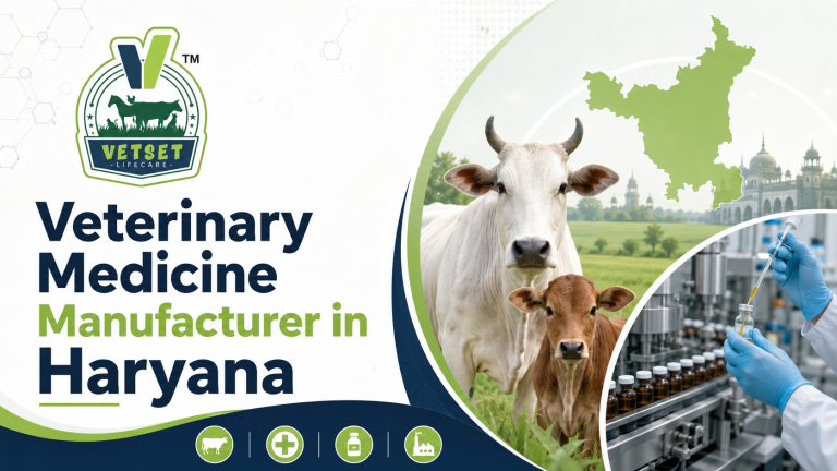 Veterinary Medicine Manufacturer in Haryana
