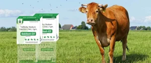 PCD veterinary  third party pharma franchise company Bikaner, Rajasthan