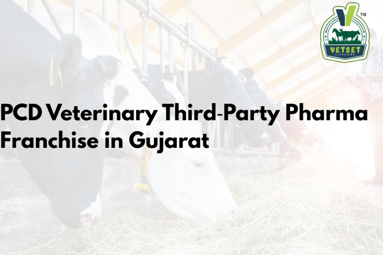 PCD Veterinary Third‑Party Pharma Franchise in Gujarat