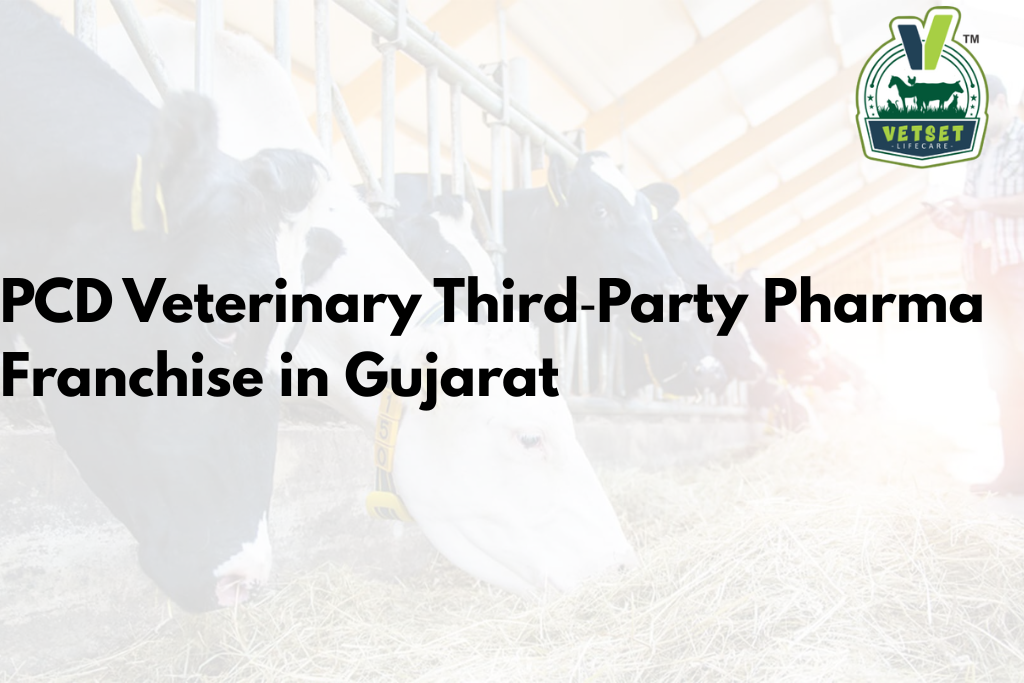 PCD Veterinary Third‑Party Pharma Franchise in Gujarat