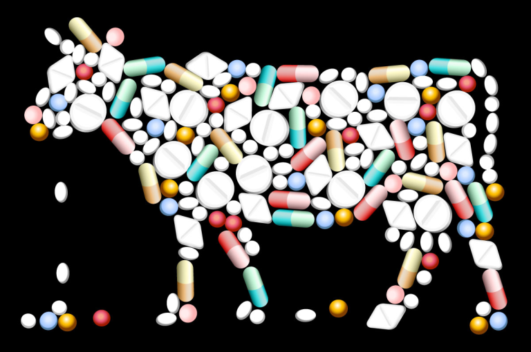 Antibiotics to Treat Animals