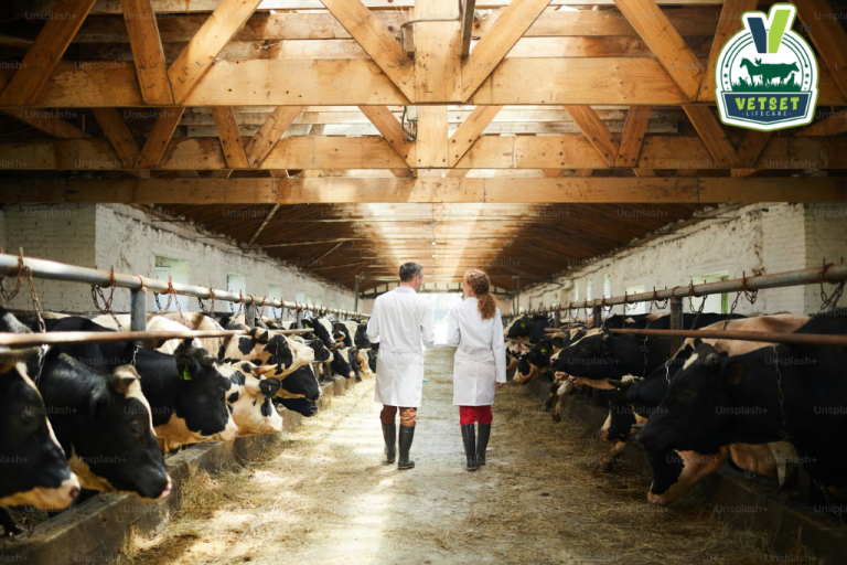 PCD Veterinary Third-Party Pharma Franchise in Uttar Pradesh