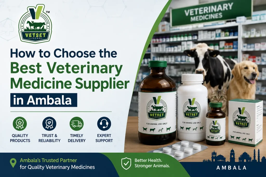 Best Veterinary Medicine Supplier in Ambala