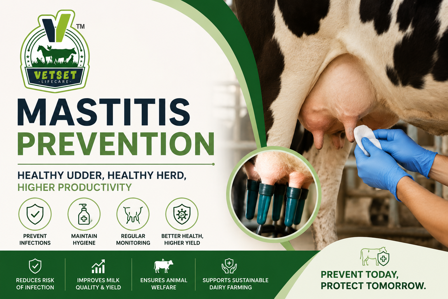 Mastitis Prevention