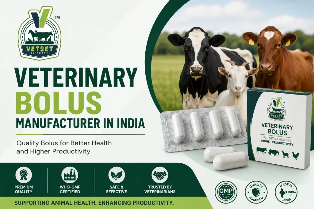 Veterinary Bolus Manufacturer in India