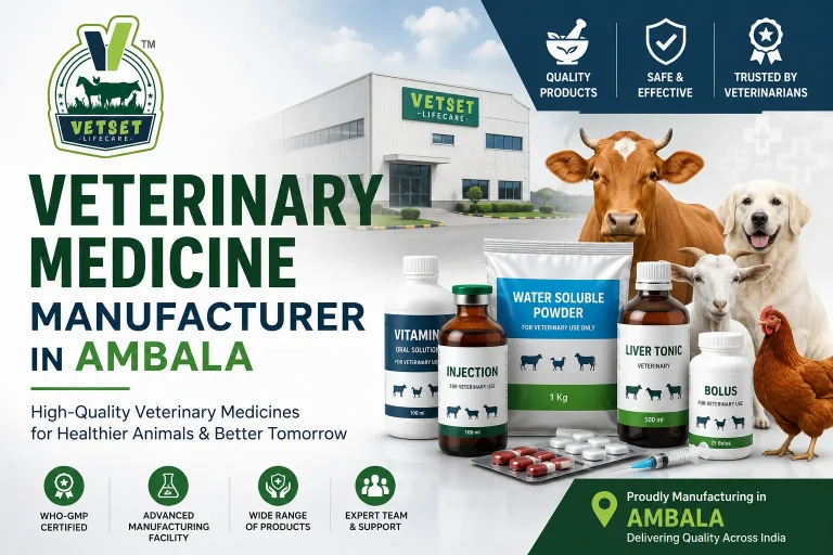 Veterinary Medicine Manufacturer in Ambala
