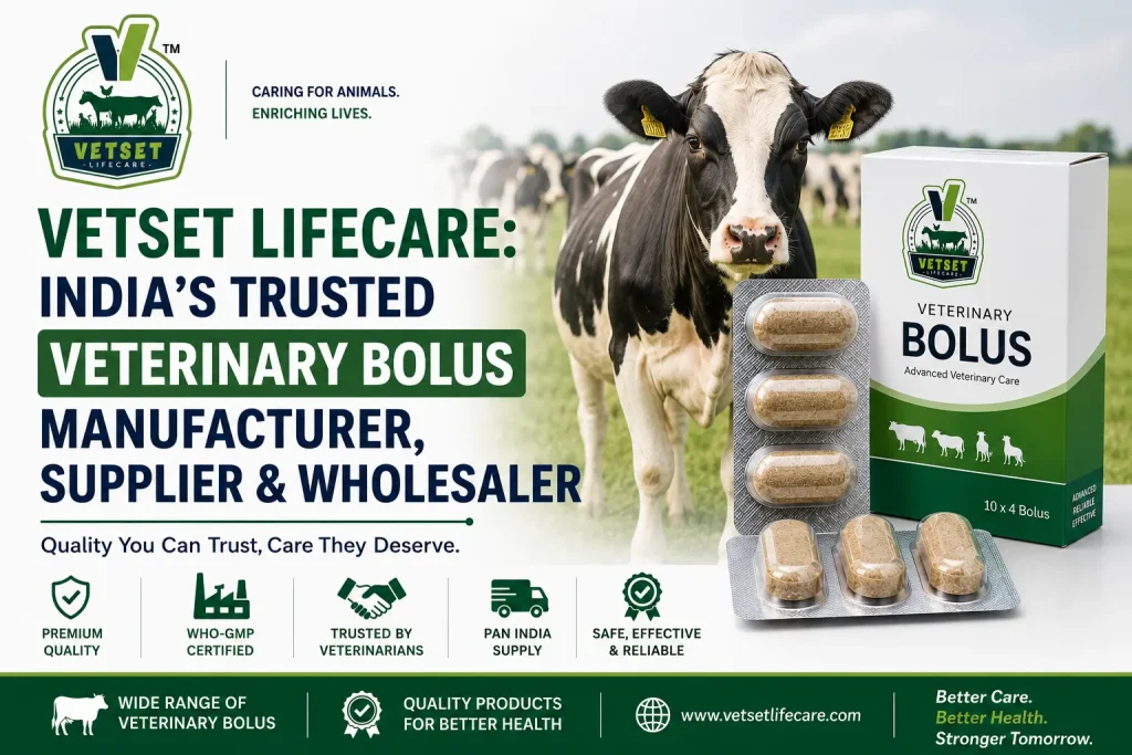 Vetset Lifecare India's Trusted Veterinary Bolus Manufacturer, Supplier & Wholesaler