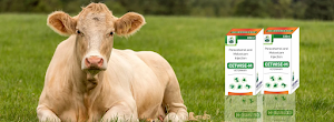 Vetset Lifecare- Veterinary PCD Pharma Franchise Company place picture