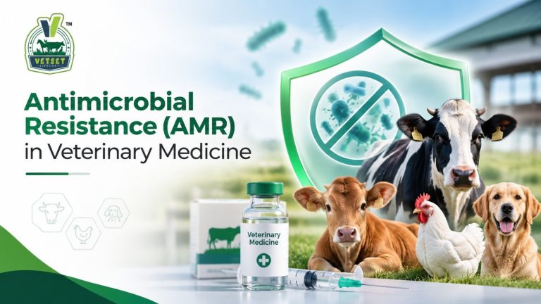 Antimicrobial Resistance