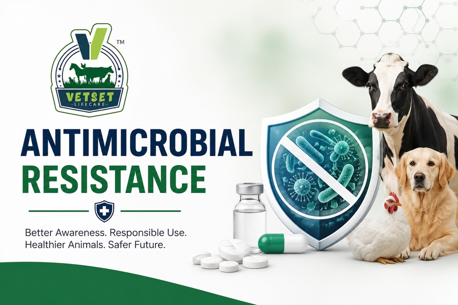 Antimicrobial Resistance